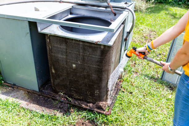 Best Local Air Duct Cleaning Services  in Escobares, TX